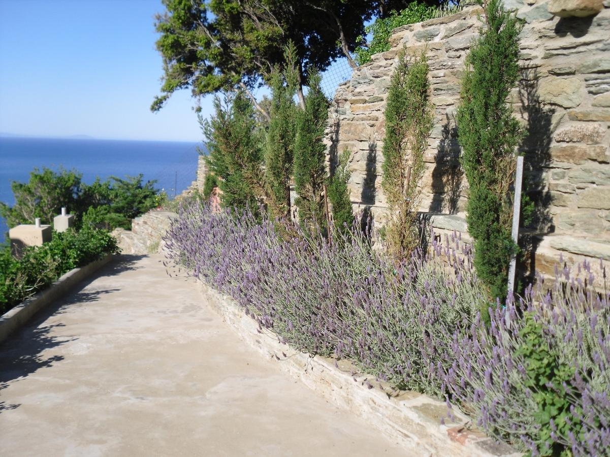 Aegean Castle Andros - Adults Only Aparthotel Agia Eleousa ภายนอก รูปภาพ